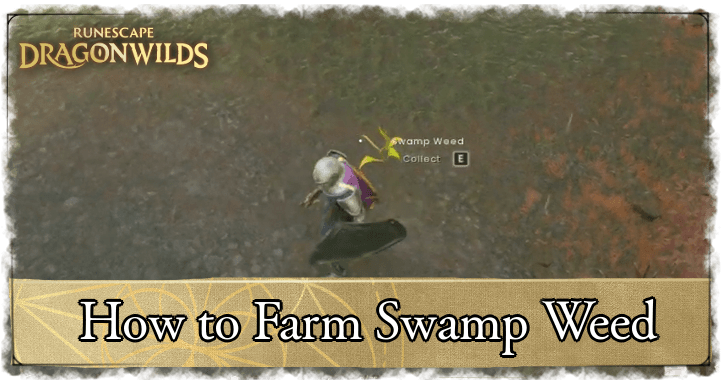 Swamp Wood Banner