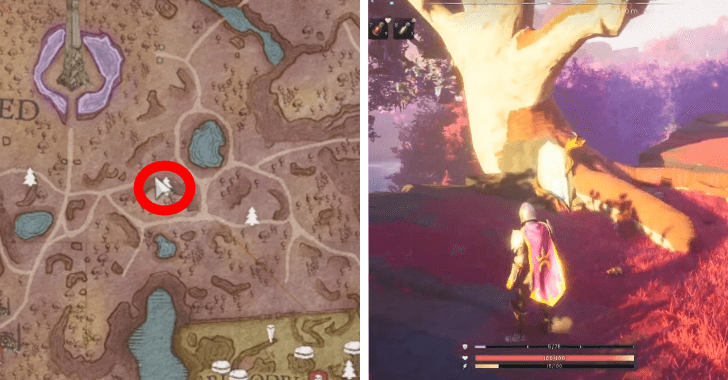 blue tree location 2