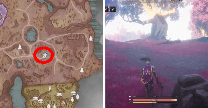 blue tree location 3