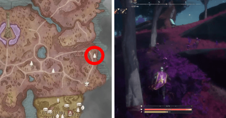 blue tree location 5