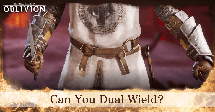 The Elder Scrolls IV Oblivion - Can You Dual Wield
