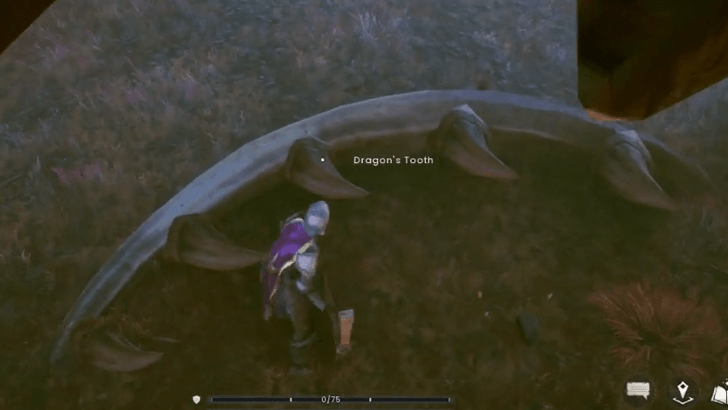 Runescape Dragon Tooth