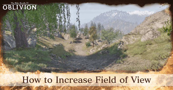 The Elder Scrolls IV Oblivion - Field of View