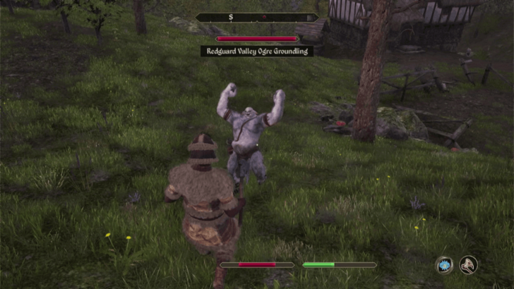 TES IV Oblivion Defeat Ogres
