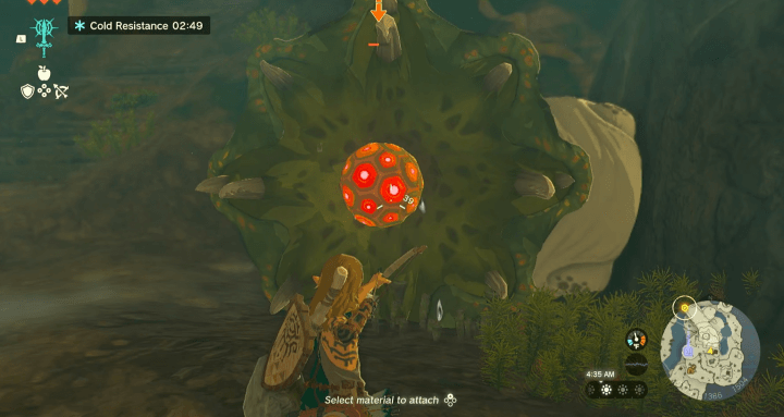 Fighting a Like Like