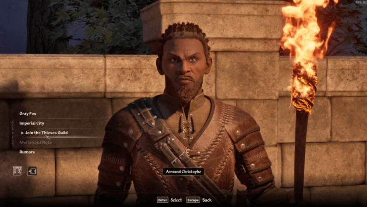 Join the Thieves Guild