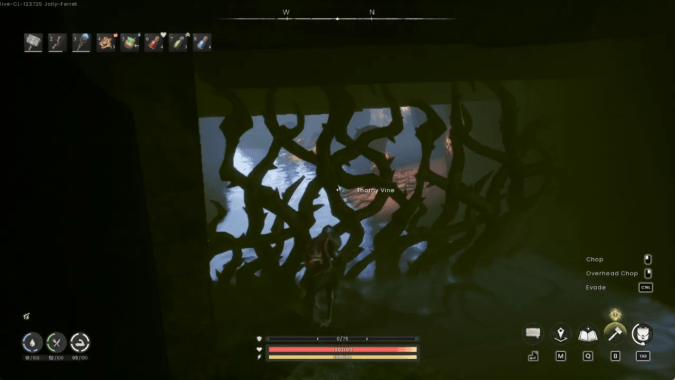 Find the Entrance Behind Vines