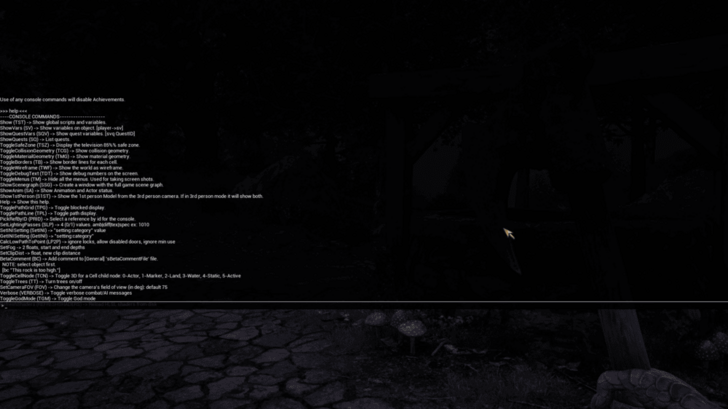 Console Commands Window