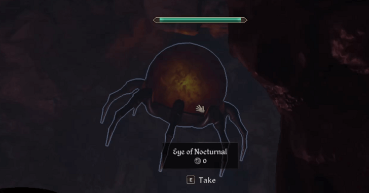 Eye of Nocturnal Location