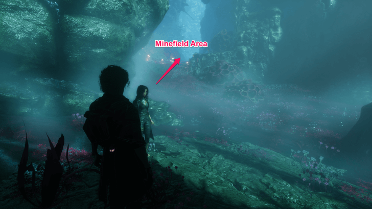 Head to the Minefield