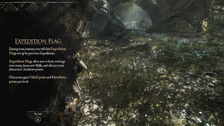 What is an Expedition Flag