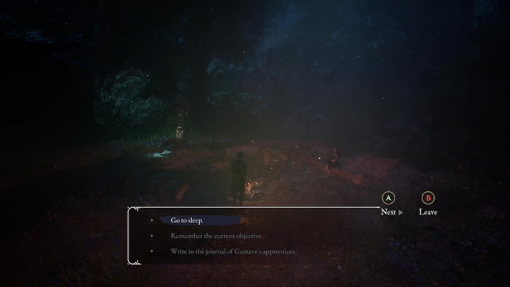 Interact with the Bonfire