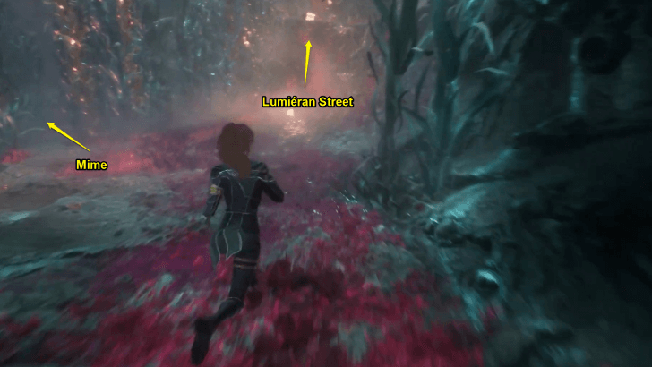 Flying Waters Mime Location