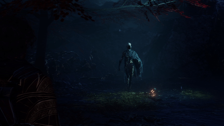 Expedition 33 - Curator