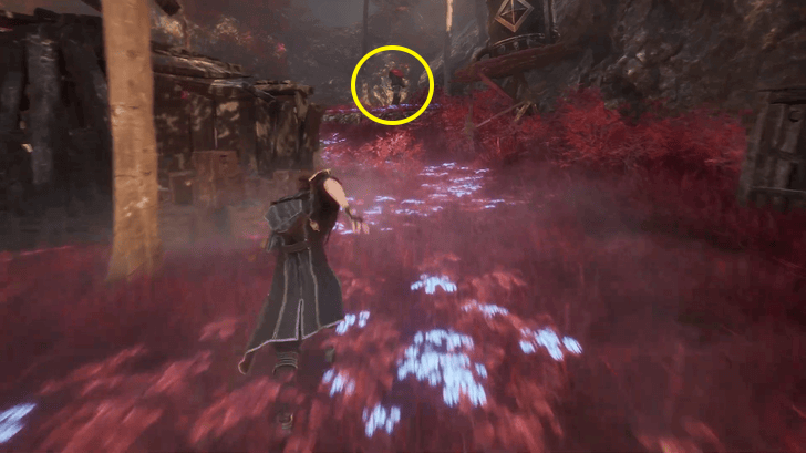 Expedition 33 Mime 4 Location