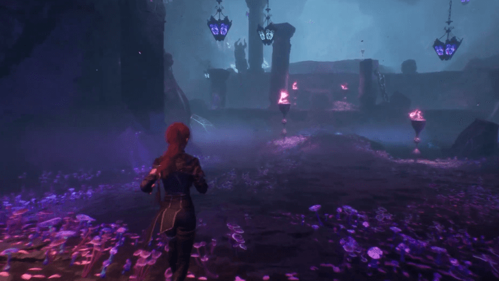 Large Room with Torches