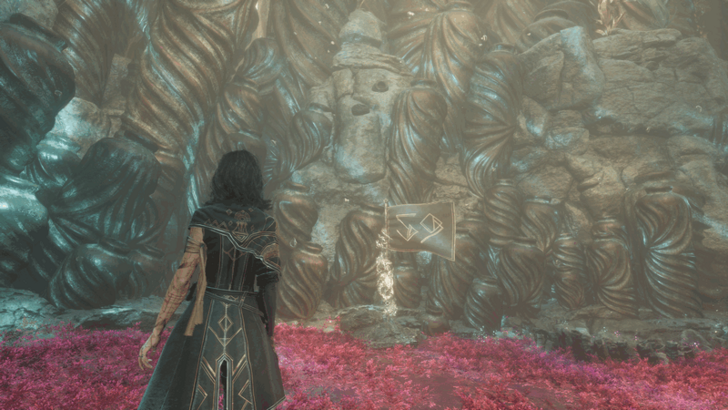 Expedition Flag - Flower Field.png