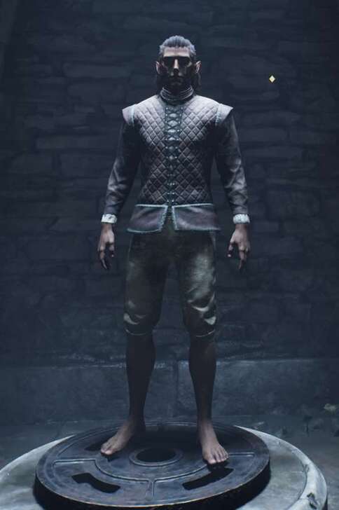 Resist Normal Weapons Quilted Doublet