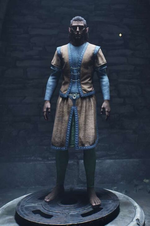 Security Russet Felt Shirt