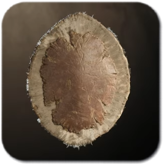 Eagle Feather Shield