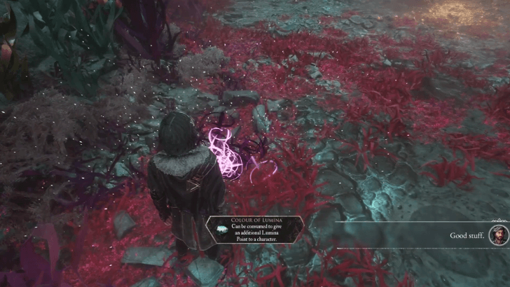 Bourgeon Quest Reward Colour of Lumina