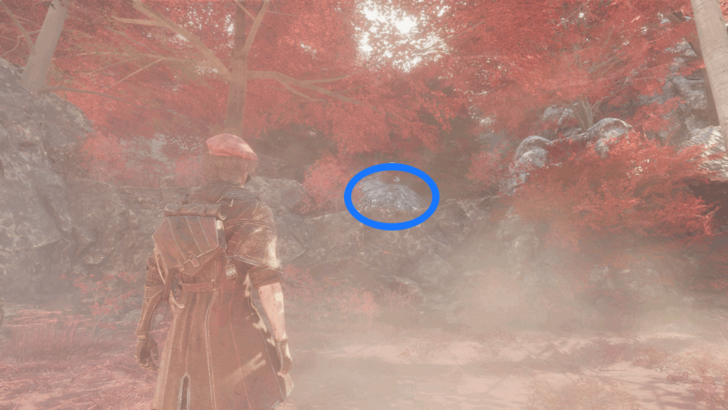 Paint Cage (Chroma Elixir Shard)