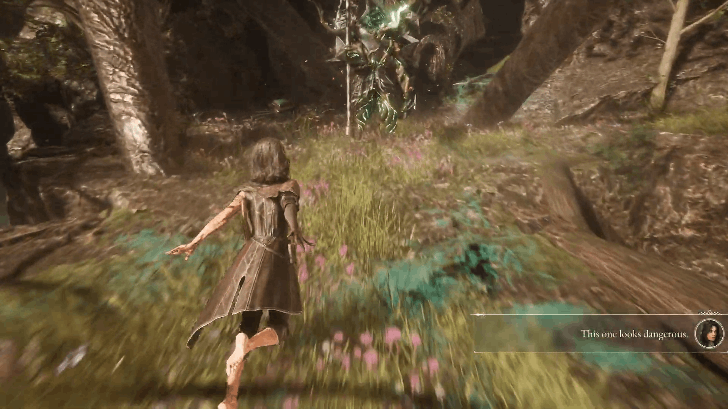 Chromatic Lancelier Location 1.png