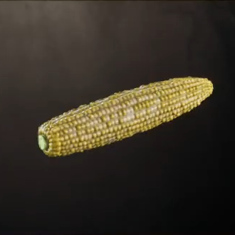 Corn