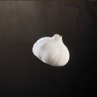 Garlic Icon