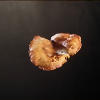 Dryad Saddle Polypore Cap