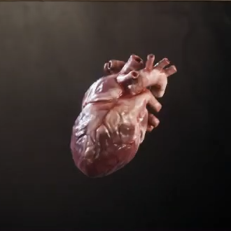 Human Heart (Cadlew Chapel)