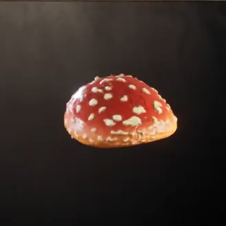 Fly Amanita Cap Icon