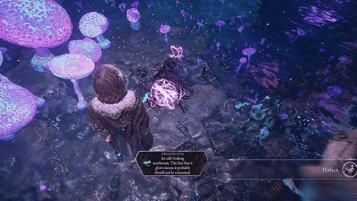 Expedition 33 - Mushroom at Esquiel