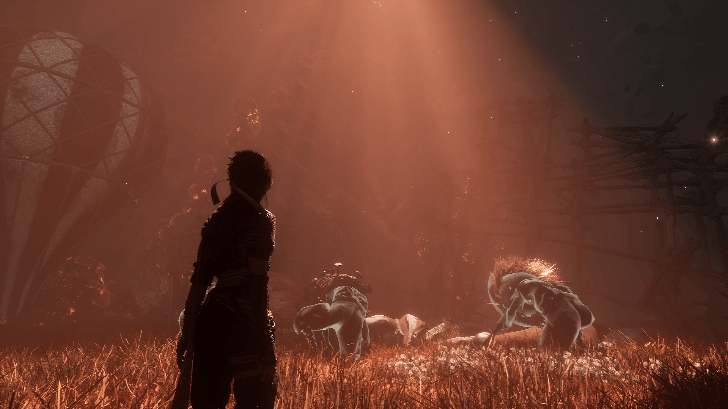 Yellow Harvest Chromatic Orphelin