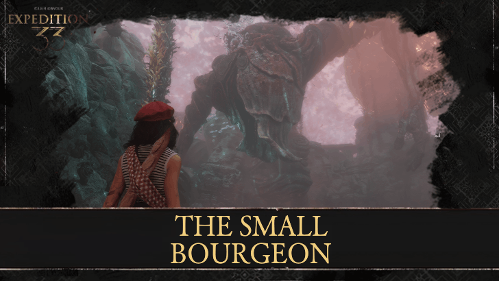 The Small Bourgeon 100% Guide and All Locations