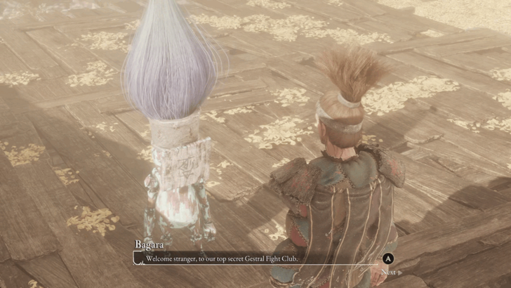 Hidden Gestral Arena NPCs