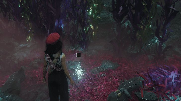 The Small Bourgeon Expedition Journal 53