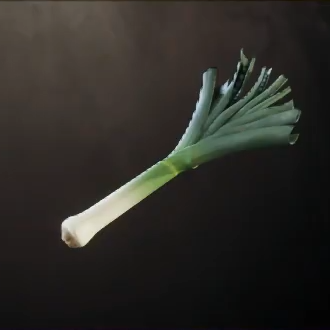 Leek