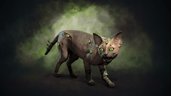 Diablo 4 - Iris the cat