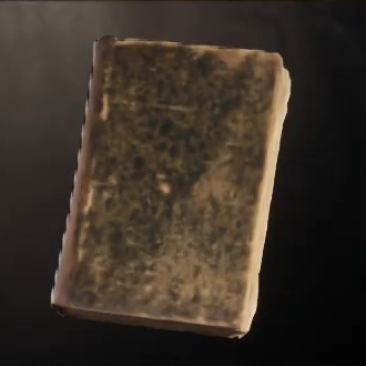 History of the Fighters Guild Icon