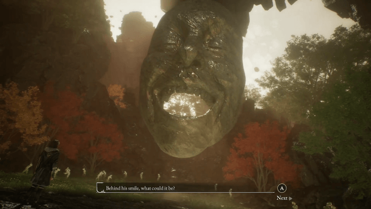 Joy Vale Mask Question