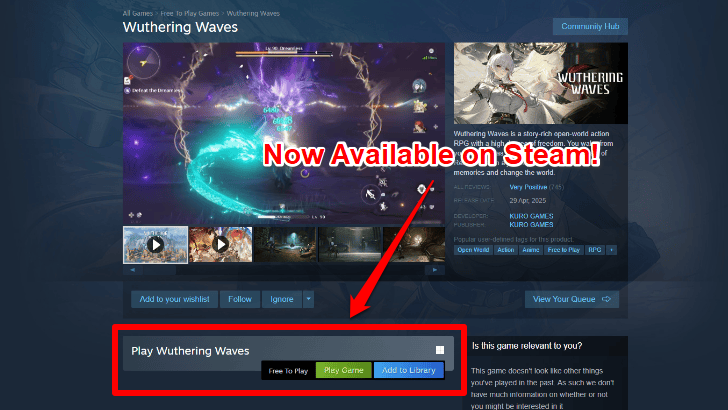 Wuthering Waves - Steam Release