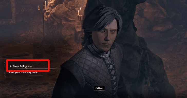 Oblivion Skingrad Erthor