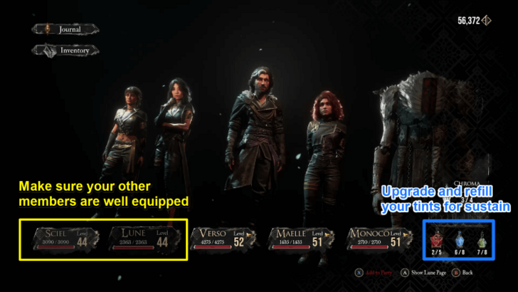 Preparing Team Members