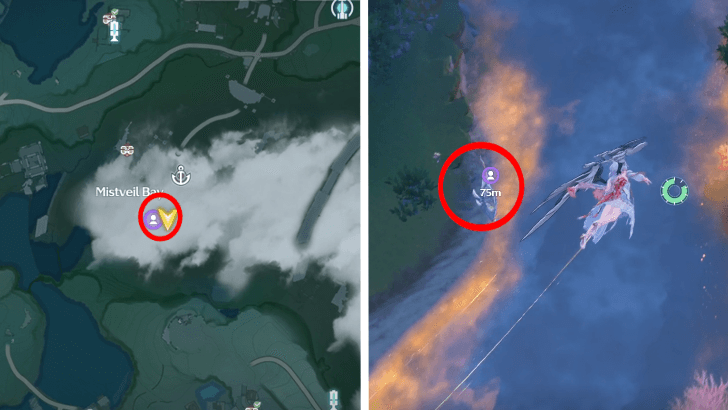 Catch Up With the Runner