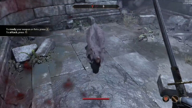 TES IV Oblivion Fight Rats