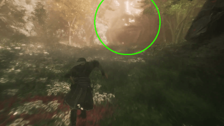 Approach the Joy Visage