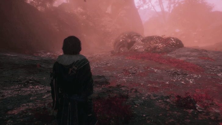 New Area - The Visages