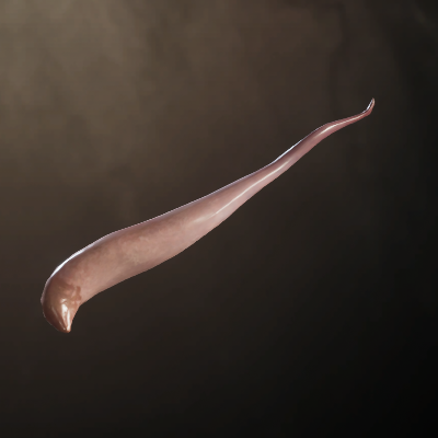 Deformed Swamp Tentacle Icon