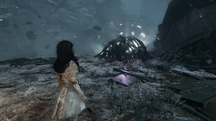 Old Lumiere Paint Cage